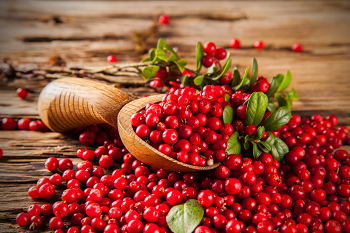 Cranberry-Extrakt Einführung in Wirkung und Wirksamkeit