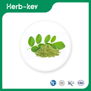 Moringa-Extrakt-Pulver