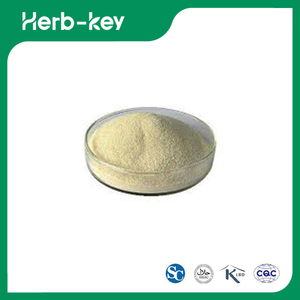 Natriumalginat Bulk &nbsp;